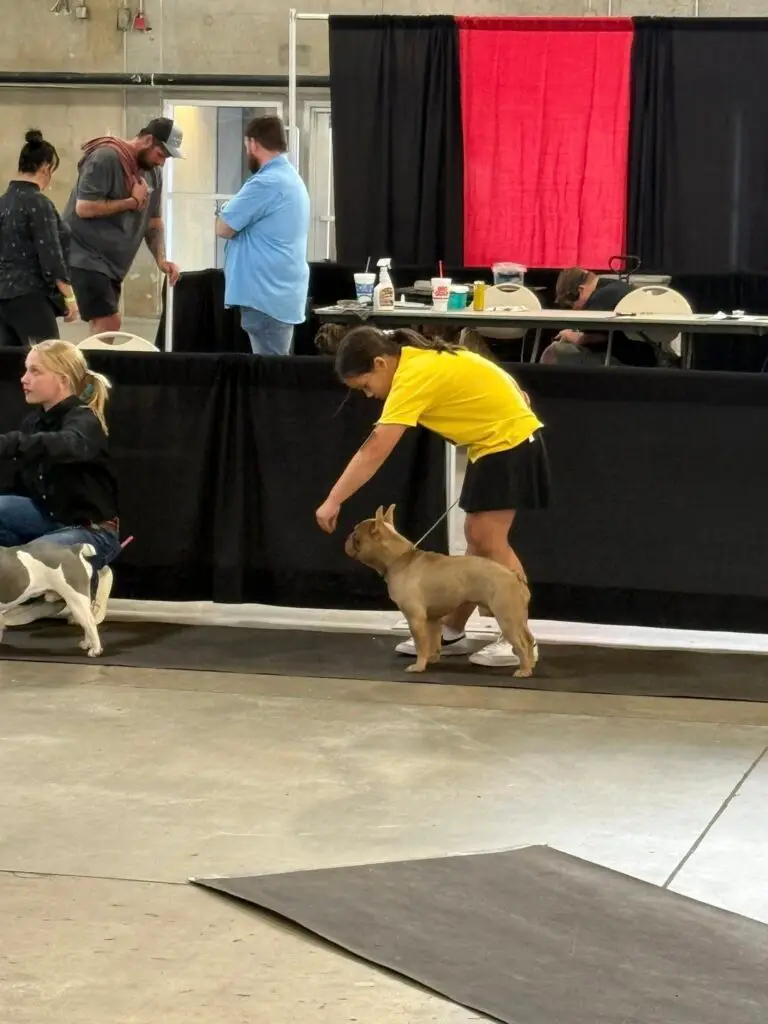 Oz Born Kennel Dog Training in Wichita, Kansas