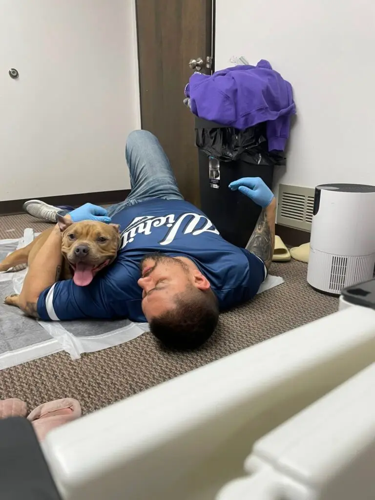 Angel with Remy from Oz Born Kennels in Wichita, Kansas