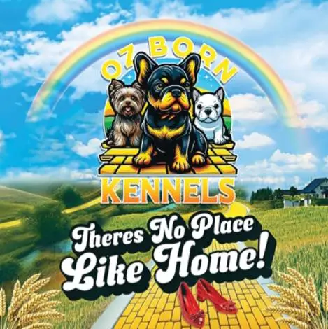 At Oz Born Kennels, There is no place like home
