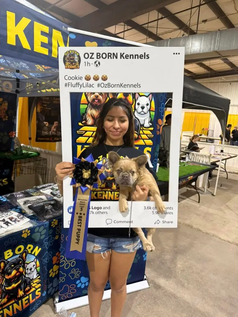 Leah of OZ Born Kennels at the Dog Show in Wichita, Kanas