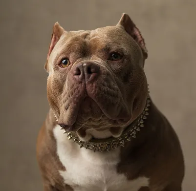 Ozborn Kennels