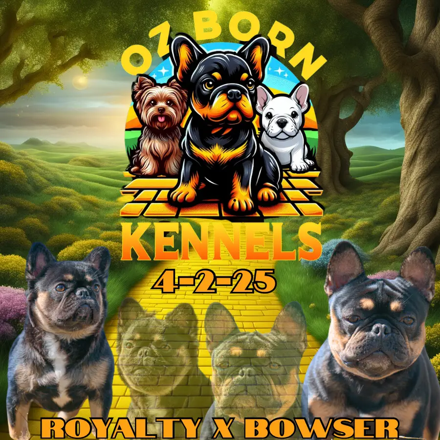 Ozborn Kennels