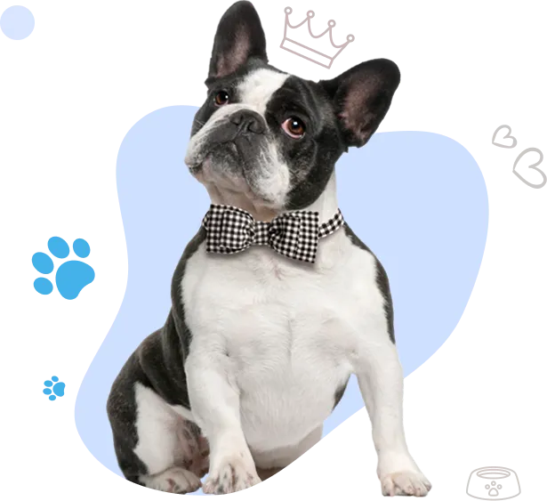 Ozborn Kennels