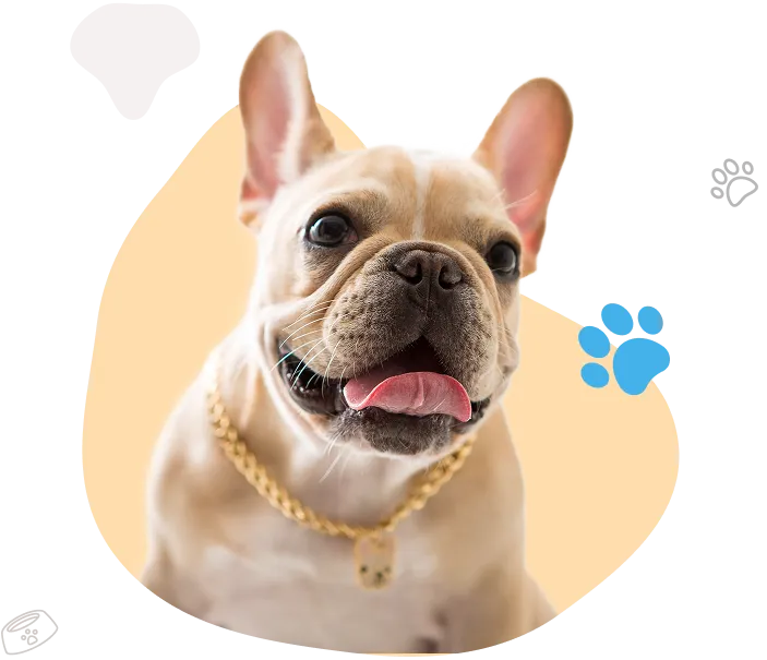 Ozborn Kennels