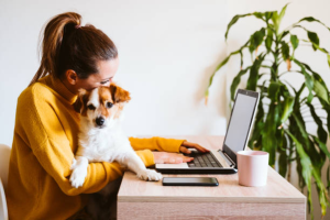 Professional Pet Sitting Services