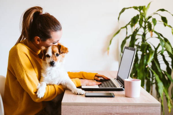 Professional Pet Sitting Services